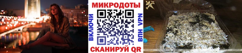 Галлюциногенные грибы Psilocybe  Купить закладки  Новоузенск 